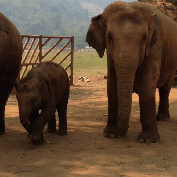 Meet your Posher, Travelgirl - Picture 6 of 8